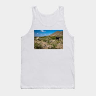 Criollo Cattle on the Open Range Tank Top